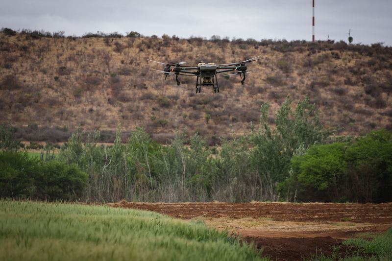 Spray drone working over a green crop with scrubby hills behind